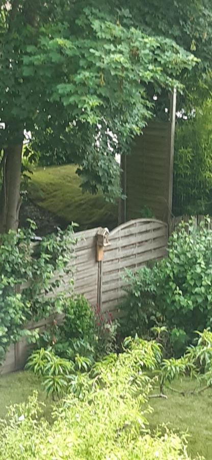 La P'Tite Maison Charleroi Kültér fotó